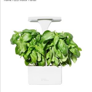 Short Stories LED Planter - Sold out online!